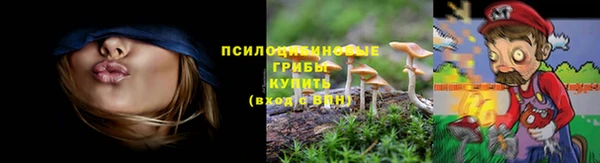 хмурый Магадан