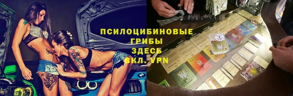 а пвп мука Алзамай